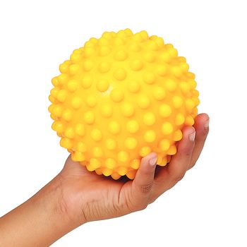 지름 10 Cm 감각볼